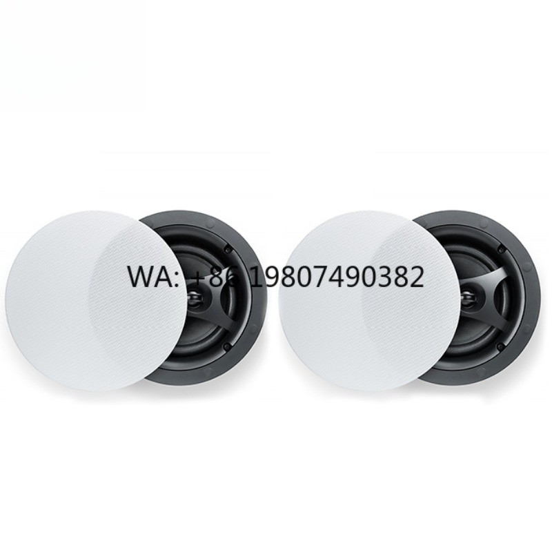 Haut-parleur de plafond sans f - Audio Music Link avis et prix
